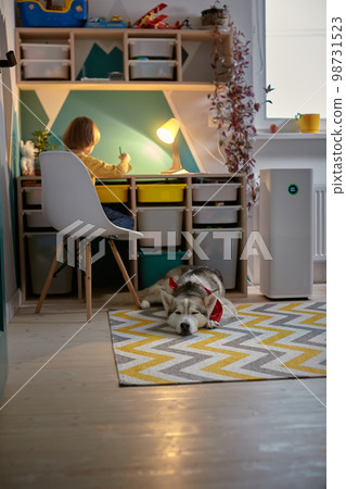 Allergy Child, pet dog and air purifier in children's room Allergy Child, pet dog and air purifier in children's room 98731523