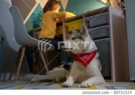 Child and pet dog together in the children's room Child and pet dog together in the children's room 98731524