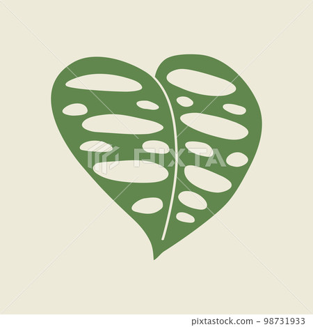 Heart shaped Monstera adansonii leaf, swiss chees or monkey leaf plant, minimalistic style, vector Heart shaped Monstera adansonii leaf, swiss chees or monkey leaf plant, minimalistic style, vector 98731933