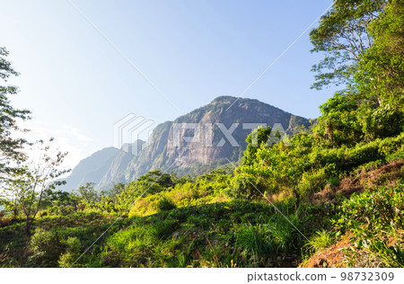 Mountains on Sri Lanka Mountains on Sri Lanka 98732309