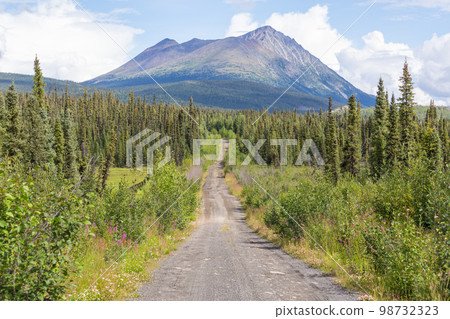 Road in tundra 98732323
