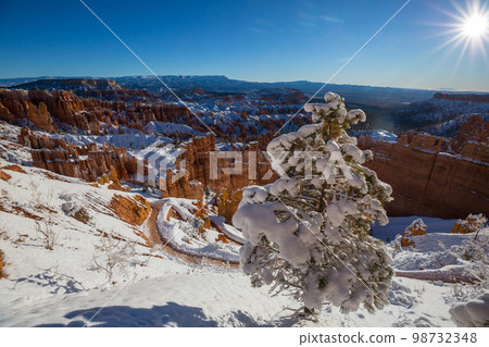 Winter Bryce 98732348