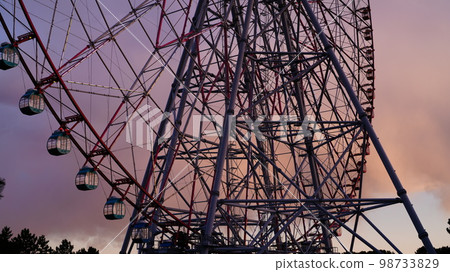 茜紅色的摩天輪是葛西臨海公園 茜紅色的摩天輪是葛西臨海公園 98733829