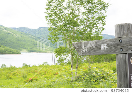 野里湖的湖畔 夏日風景【群馬縣野里湖地區】 98734025