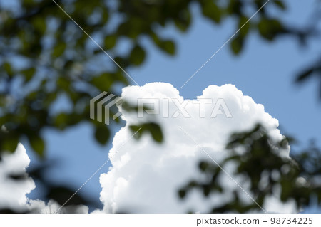 穿越太平洋高空 98734225