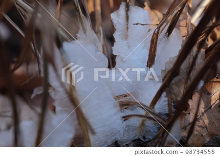 冰花下柱 98734558