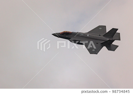 隱形戰鬥機 F-35A(青森縣三澤空軍基地) 隱形戰鬥機 F-35A(青森縣三澤空軍基地) 98734845