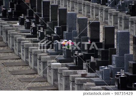 Cemetery image Flower offering at the grave Cemetery image Flower offering at the grave 98735429