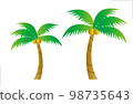 Palm tree 98735643