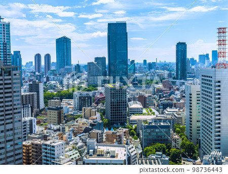 Tokyo cityscape in Japan, overlooking the cityscape such as Roppongi Hills 98736443