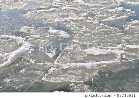 千曲川漂浮著大量的荷葉冰 98736611