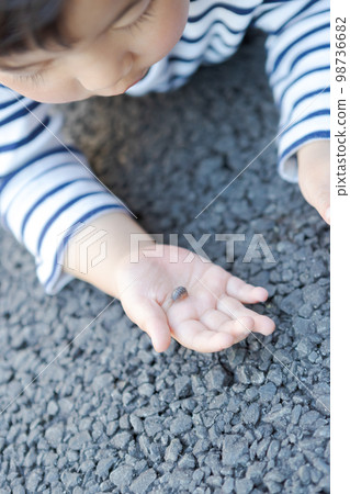 child, whelp, younger 98736682