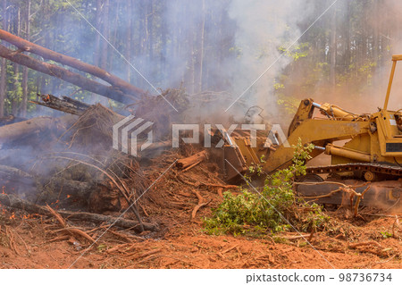 In construction site lot of uprooted forest is being burned for construction houses that need to be built In construction site lot of uprooted forest is being burned for construction houses that need to be built 98736734