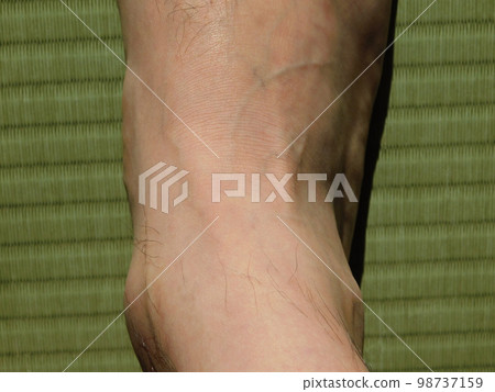 榻榻米男人的腳背 榻榻米男人的腳背 98737159
