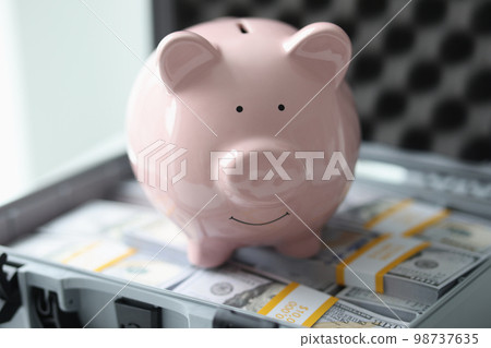 Pink piggy bank on many packs of dollar bills close-up. Pink piggy bank on many packs of dollar bills close-up. 98737635