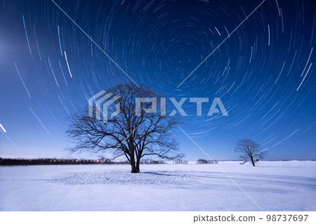 榆樹的影子和星星的光跡 98737697