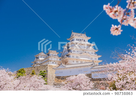 (兵庫縣)世界遺產姬路城櫻花盛開 (兵庫縣)世界遺產姬路城櫻花盛開 98738863