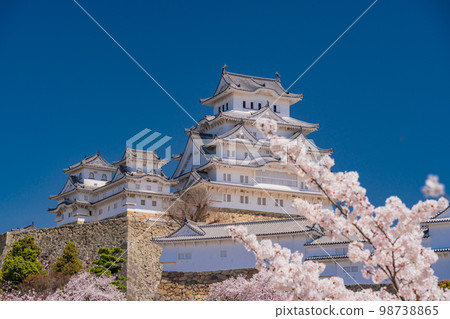 （兵庫縣）世界遺產姬路城櫻花盛開 98738865