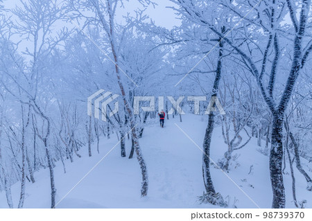 Akagi Snow Hike Akagi Snow Hike 98739370