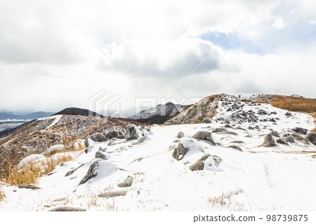 雪北九州國定公園平尾台 雪北九州國定公園平尾台 98739875