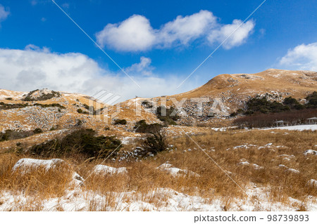 Snow Kitakyushu Quasi-National Park Hiraodai 98739893