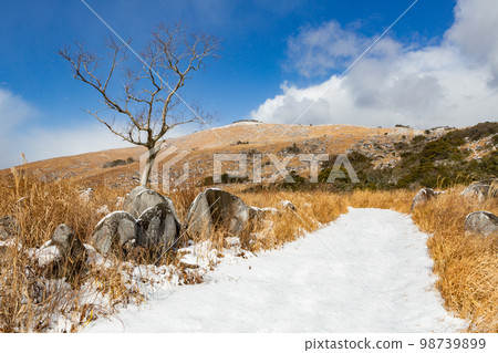 Snow Kitakyushu Quasi-National Park Hiraodai Snow Kitakyushu Quasi-National Park Hiraodai 98739899