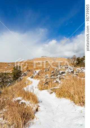Snow Kitakyushu Quasi-National Park Hiraodai Snow Kitakyushu Quasi-National Park Hiraodai 98739905