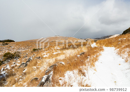 Snow Kitakyushu Quasi-National Park Hiraodai Snow Kitakyushu Quasi-National Park Hiraodai 98739912