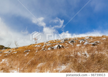 Snow Kitakyushu Quasi-National Park Hiraodai 98739913
