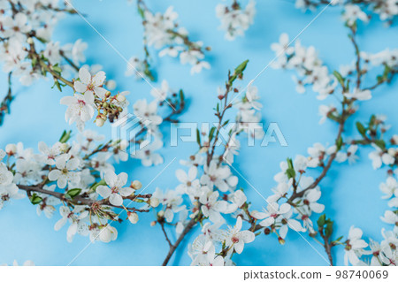 Floral background of flowers on blue. Flat lay, top view. Spring time background. 98740069