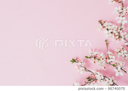 Spring concept with blossom fruit flowers on pink. Flat lay, top view. 98740070