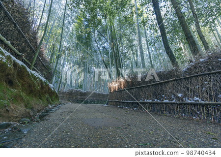 Arashiyama: Snowy winter bamboo grove path 98740434