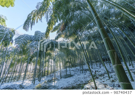 嵐山:白雪皚皚的冬日竹林小徑 嵐山:白雪皚皚的冬日竹林小徑 98740437