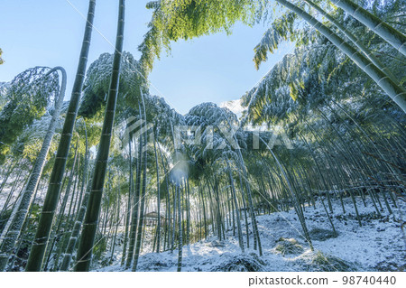 Arashiyama: Snowy winter bamboo grove path 98740440