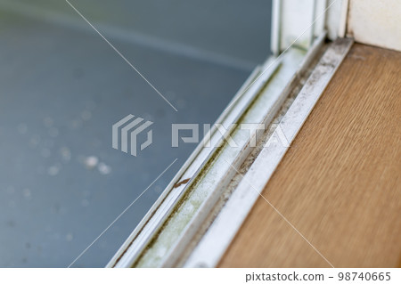 兒童房裝修裝修前保洁 兒童房裝修裝修前保洁 98740665