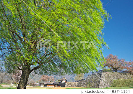Spring Shinshu Matsushiro Castle ruins shine with fresh greenery 98741194