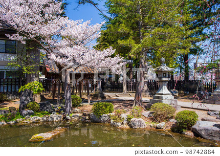 春天的米澤、山形松崎公園(米澤城跡)櫻花盛開 松崎神社 春天的米澤、山形松崎公園(米澤城跡)櫻花盛開 松崎神社 98742884