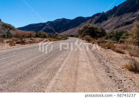 The Namibian Desert The Namibian Desert 98743237