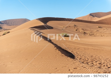 Barren landscape near Deadvlei and sossusvlei Barren landscape near Deadvlei and sossusvlei 98743252