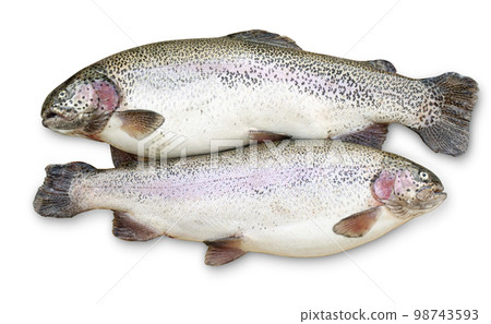 Two freshly caught trouts Two freshly caught trouts 98743593