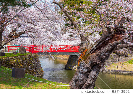 櫻花盛開的山形山形松崎公園的春天（米澤城跡）菱門橋 98743991
