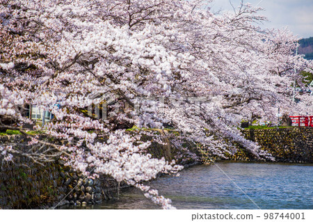 Spring in Yonezawa, Yamagata Matsugasaki Park with cherry blossoms in full bloom (Yonezawa Castle Ruins) Spring in Yonezawa, Yamagata Matsugasaki Park with cherry blossoms in full bloom (Yonezawa Castle Ruins) 98744001