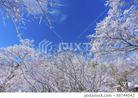 The precincts of Tenryu-ji Temple covered in snow 98744042