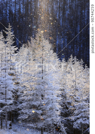 霧峰鑽石塵埃和太陽柱 98744259