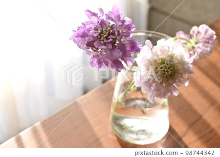 Cut flowers (pine worm grass) Cut flowers (pine worm grass) 98744342