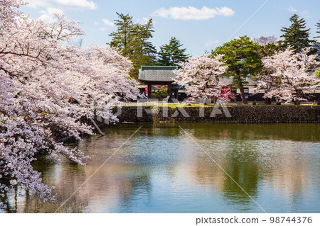 櫻花盛開的山形山形松崎公園的春天（米澤城跡） 98744376