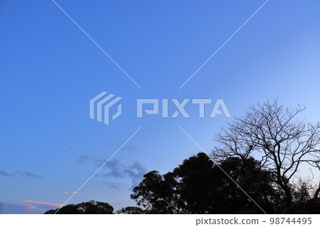 黃昏的天空，雲彩，樹木 98744495
