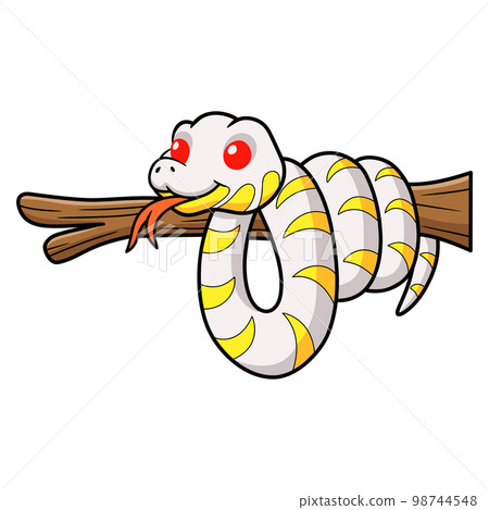 Cute albino mangrove snake cartoon on tree branch 98744548