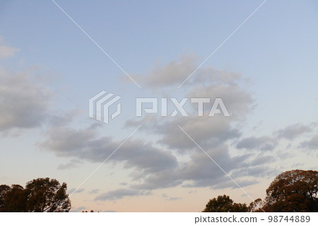 Twilight sky, clouds, trees Twilight sky, clouds, trees 98744889