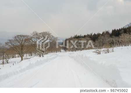 Onikobe的雪景·Naruko Onsen Onikobe(宮城縣) Onikobe的雪景·Naruko Onsen Onikobe(宮城縣) 98745002